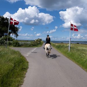 Grundlovskørsel på Bogø